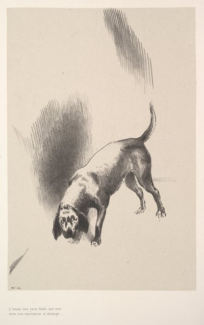 Han festet blikket på meg med et uttrykk som var så rart, 1896. av Odilon Redon