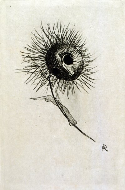 Illustrasjon for 