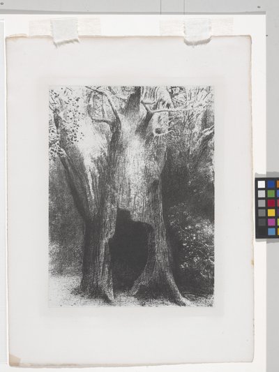 I Sunk Into Solitude (litografi på kinesisk applikasjonspapir) av Odilon Redon