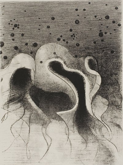 Havets dyr, runde som skinnflasker, plate 22 av 24 av Odilon Redon