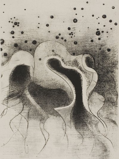 Havets dyr, runde som skinnflasker, plate 22 av 24 av Odilon Redon