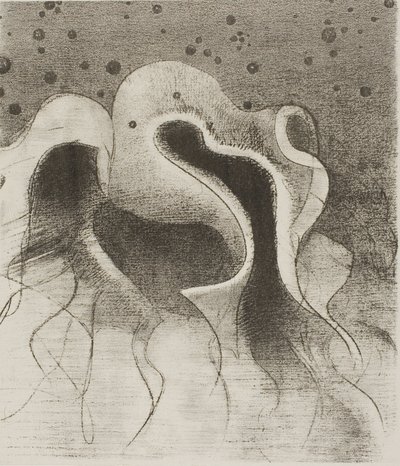 Havets dyr, runde som skinnflasker, plate 22 av 24 av Odilon Redon