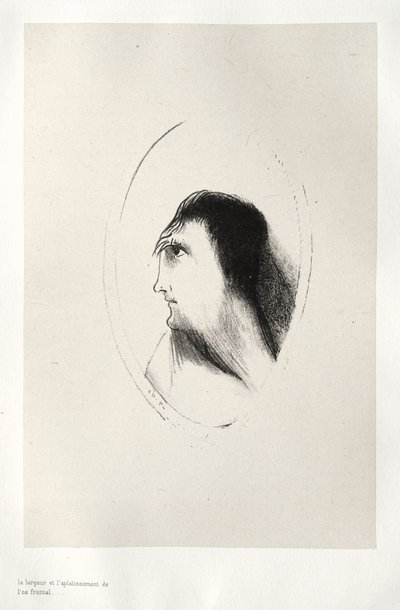 Bredden og flatheten til frontalbenet av Odilon Redon