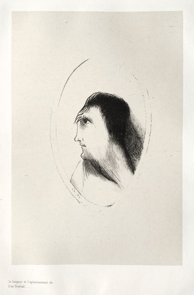 The Haunted House: The Width and Flatness of the [the] Frontal [Bone], 1896. av Odilon Redon