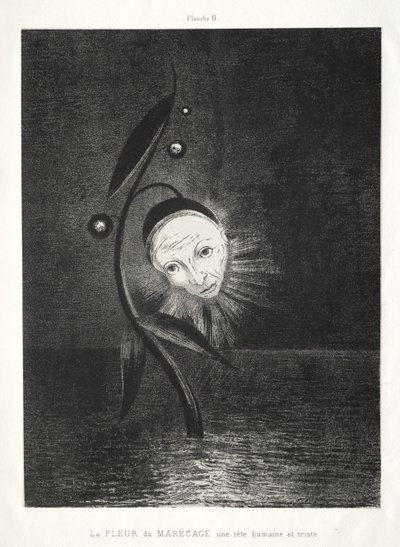 Myrblomsten, et trist menneskehode av Odilon Redon