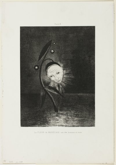 Myrblomsten, et trist menneskehode, plate 2 av 6 av Odilon Redon