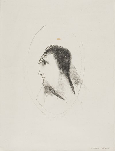 Bredden og flatheten til [den] frontale [benet], plate 6 av 6 av Odilon Redon