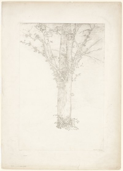 Tre av Odilon Redon