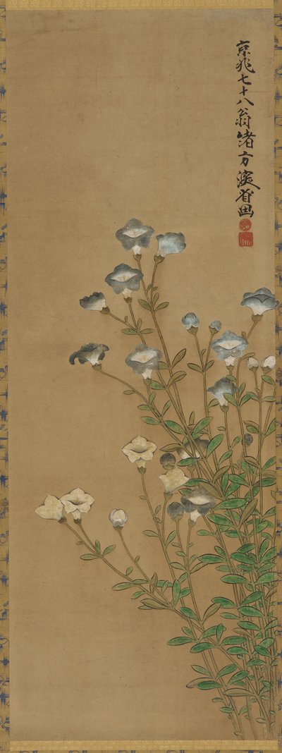 Blå og hvite blomster på slanke stilker, Edo-periode, 1700-1800-tallet av Ogata Kenzan