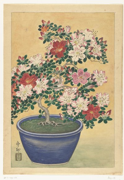 Blomstrende asalea i blå krukke av Ohara Koson (signed by artist)