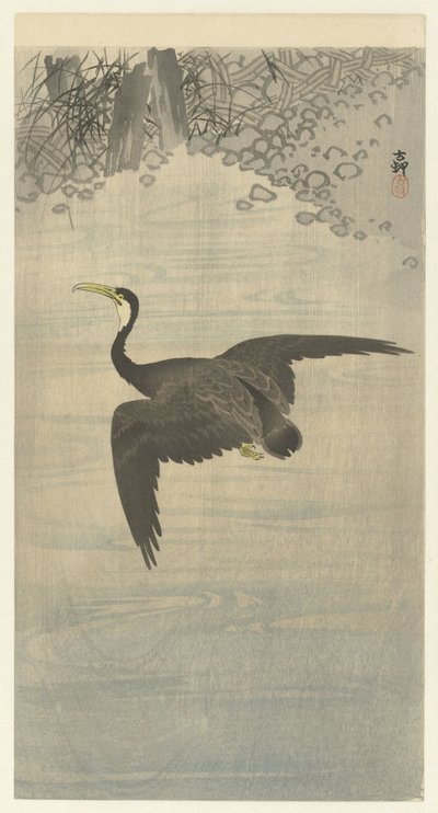 skarv på flukt av Ohara Koson