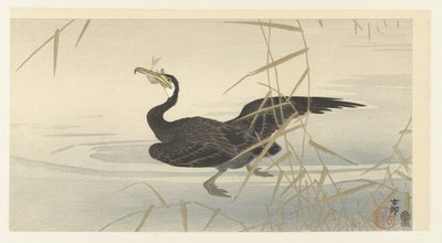 Skarv med fisk av Ohara Koson