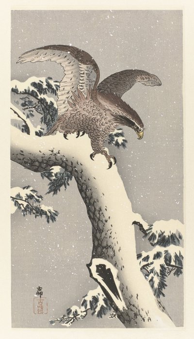 Ørn på snødekt furutre av Ohara Koson