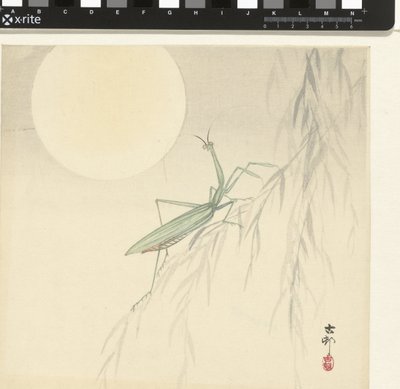 Praying mantis av Ohara Koson