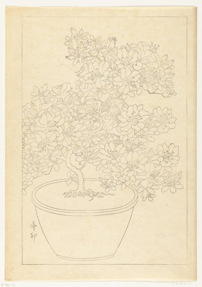 Blomstrende asalea i potte av Ohara Koson
