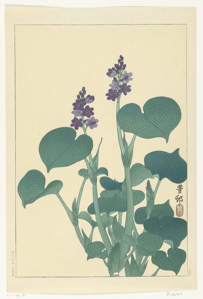 Blomstrende hosta av Ohara Koson