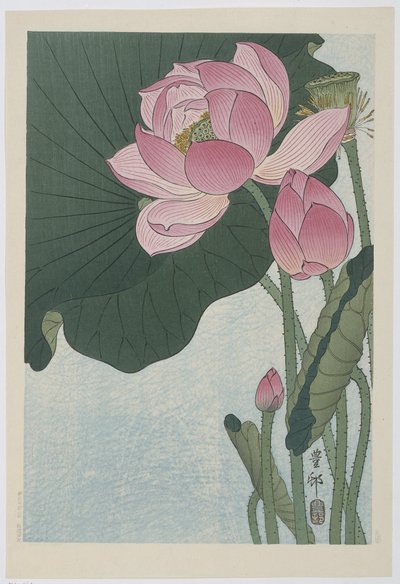 Blomstrende lotusblomster av Ohara Koson