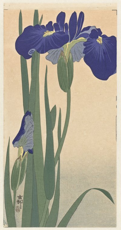 Blå iris, 1900-30 (treblokktrykk) av Ohara Koson