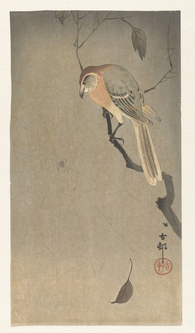 Bøffelhodeskrike og edderkopp av Ohara Koson