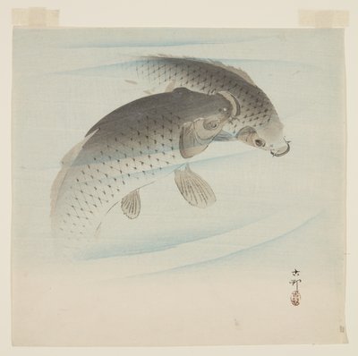 Karpe (Koi) (farget treblokktrykk) av Ohara Koson