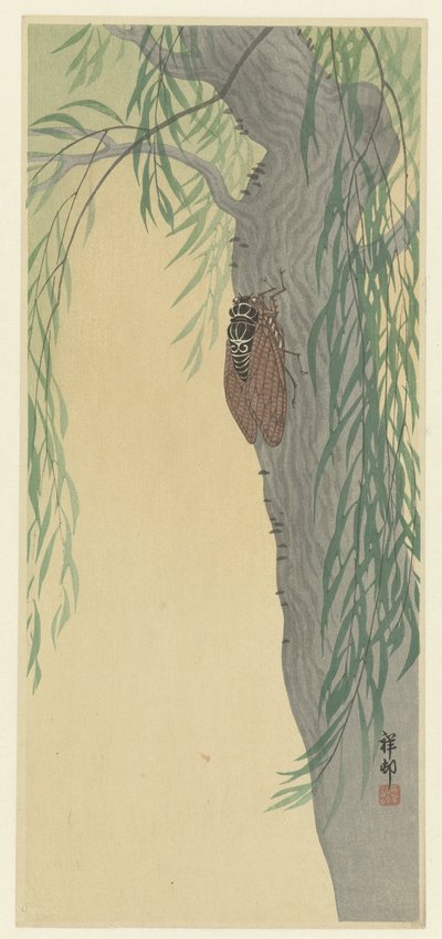 Cicada på treet av Ohara Koson