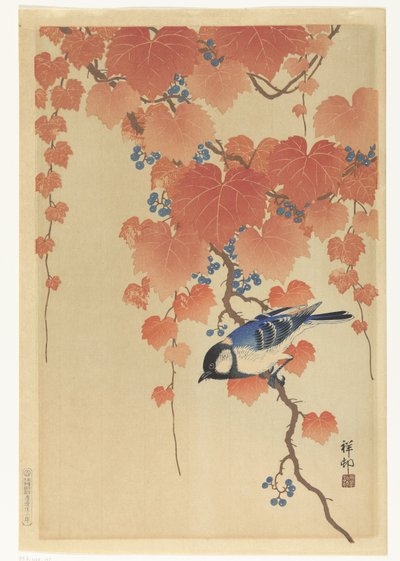 Coal Tit er en Paulownia-gren av Ohara Koson