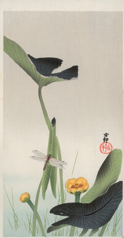 Dragonfly and Lotus (farget treblokktrykk) av Ohara Koson