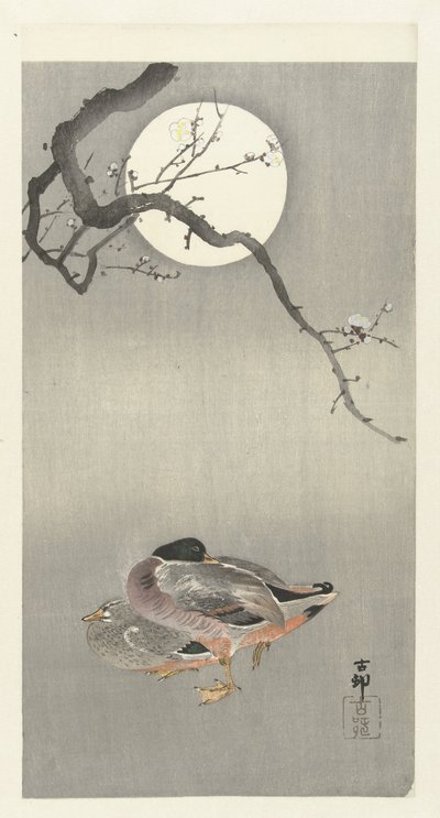 Ender ved fullmåne av Ohara Koson