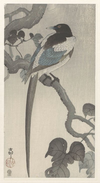 Magpie på tregren av Ohara Koson
