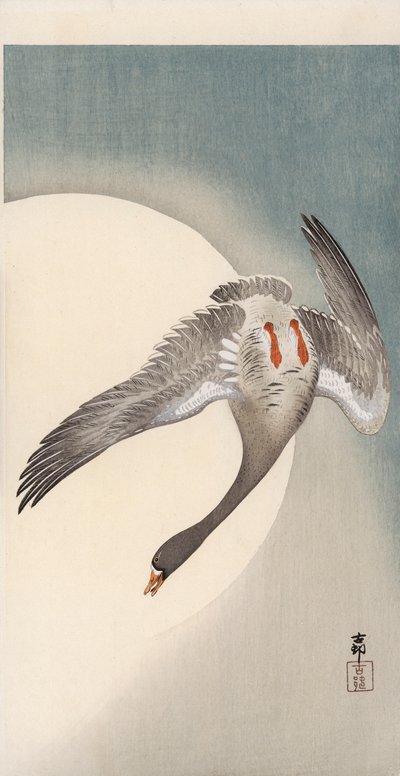 Flygende kvitgås sett nedenfra foran månen (farget treblokktrykk) av Ohara Koson
