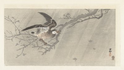 Gråstær i storm av Ohara Koson