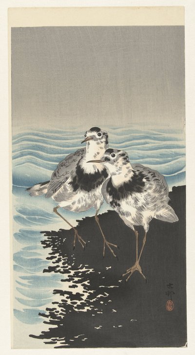 Flotte knutesandpiper av Ohara Koson