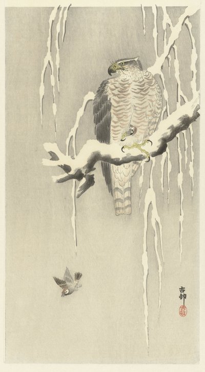 Hauk med fanget gressspurv. av Ohara Koson