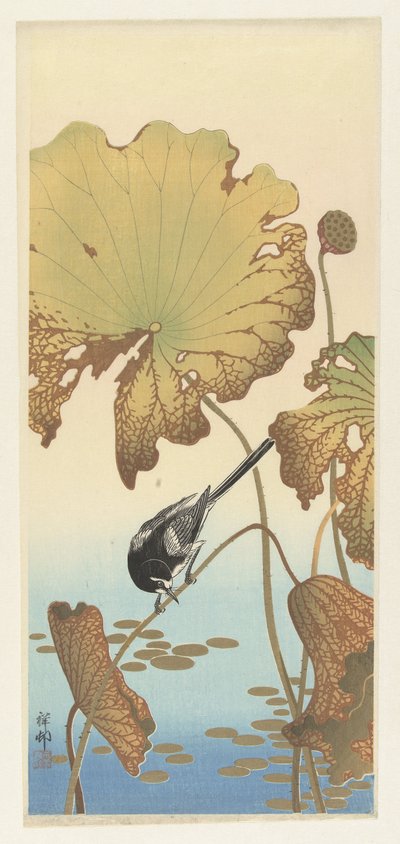 Japansk viphale på lotusplante av Ohara Koson