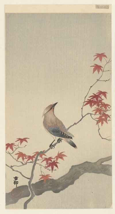 Japansk voksvinge på lønn. av Ohara Koson