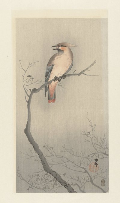 Japansk voksvinge på gren av Ohara Koson