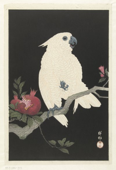 Kakadu og granateple av Ohara Koson