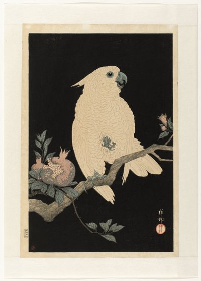 Kakadu med granateple av Ohara Koson