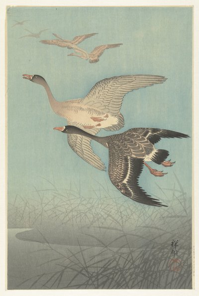 Blisgjess på flukt av Ohara Koson