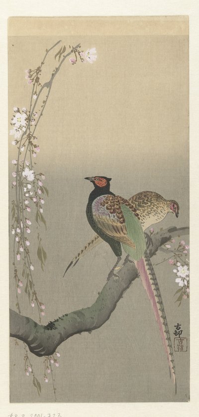 Et par fasaner og kirsebærblomst av Ohara Koson