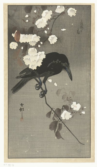 Kråke med kirsebærblomst Hana sakura no tori (tittel på objekt) av Ohara Koson