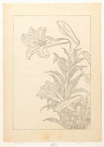 Lelies av Ohara Koson