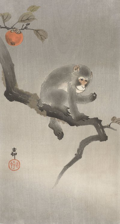 Ape i et frukttre, 1900-30 (fargetresnitt) av Ohara Koson