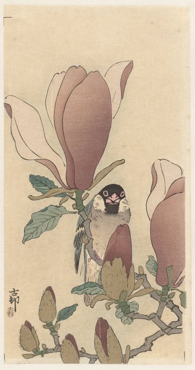 Spurv på blomstrende magnoliagren av Ohara Koson