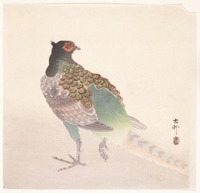 Fasan (farget treblokktrykk) av Ohara Koson