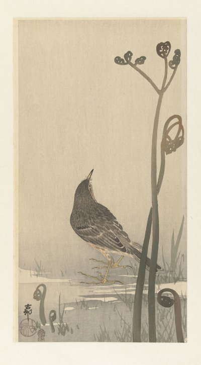Beeper ved vannkanten av Ohara Koson