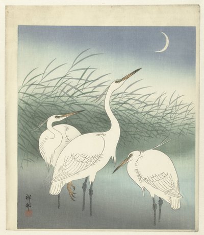 Hegre på grunt vann av Ohara Koson
