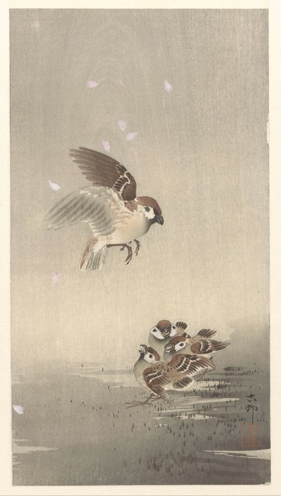 Ringspurv med gutt av Ohara Koson
