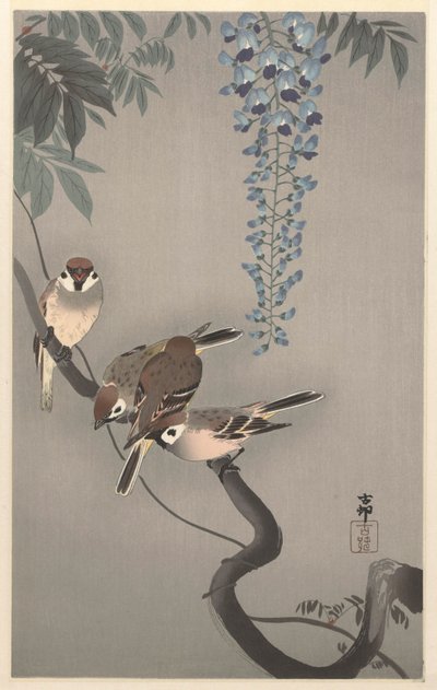 Ringspurv ved blåregn av Ohara Koson