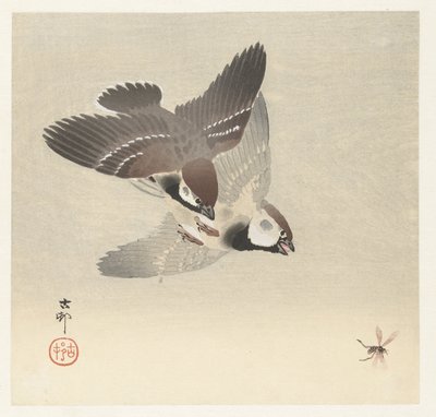 Ringspurver og insekt av Ohara Koson